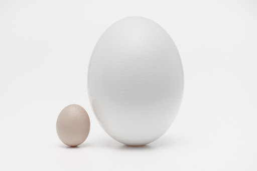 Small and large eggs juxtaposed
