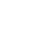 BitSight