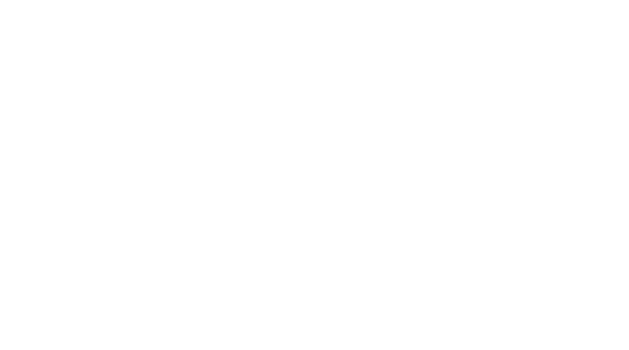 BitSight Logo in White