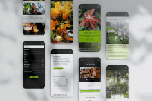 Many screens showing pages of the Chicago Botanic Garden site